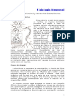 Tema1 Fisiología Neuronal