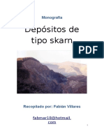 Depositos Skarn