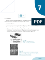 Carne: estructura, tipos y preelaboración