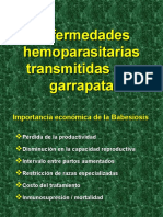 HEMOPARASITOS