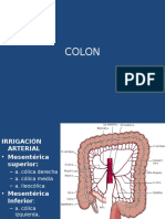 Irrigación arterial del colon