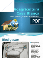 bioagriculturacasablanca-090801133539-phpapp02
