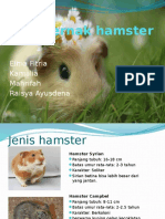 Ternak Hamster