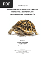 ESTUDIO SANITARIO DE LAS TORTUGAS TERRESTRES MEDITERRÁNEAS (GÉNERRO TESTUDO) E IMPLICACIONES PARA SU CONSERVACIÓN