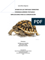 Estudio Sanitario de Las Tortugas Terrestres Mediterráneas (Génerro Testudo) e Implicaciones para Su Conservación