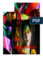 TEMA 7 ContrasteAsimilacion