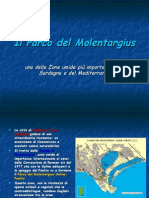 Il Parco Di Molentargius