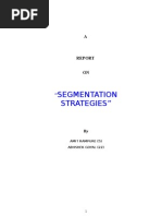 Download sementation strategies by amit SN3167600 doc pdf