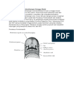 Pertumbuhan Dan Perkembangan Orocraniofacial