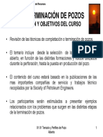 Curso Term de Poz (DST) PDF