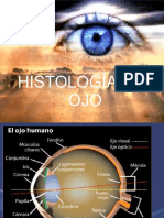 Histología ocular en