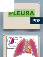 Sesion 16 Pulmones