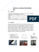 Cargas Eléctricas y Cuerpos Electrizados