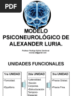 Modelo Neurológico de Alexander Luria