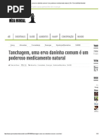 Tanchagem, Uma Erva Daninha Comum é Um Poderoso Medicamento Natural _ Por Trás Da Mídia Mundial
