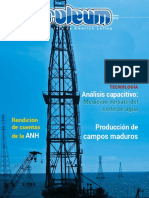 Petroleum 300 Enero 2015