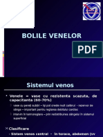 Bolile Venelor