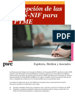 adopcion_ven-nif_para_pyme251011.pdf