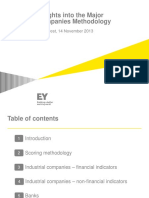 EY - Modelul 2013 MCR 2013 - Methodology