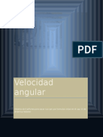 Velocidad Angular