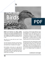 Newsletter-Spring2014-For The Birds - Navhda