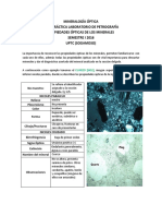 Guía Laboratorío Mineralogia Óptica