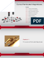 curso_particulasMagneticas2014.pdf