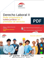 Proceso Laboral (III)