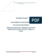 INFORME CARTOGRÁFICO Chilca PDF