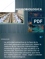 Industria Hidrobiologica