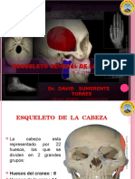 1 Osteologia General de La Cabeza