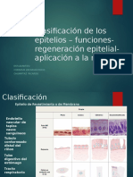 Clasificación de Los Epitelios - Funciones - Regeneración Epitelial