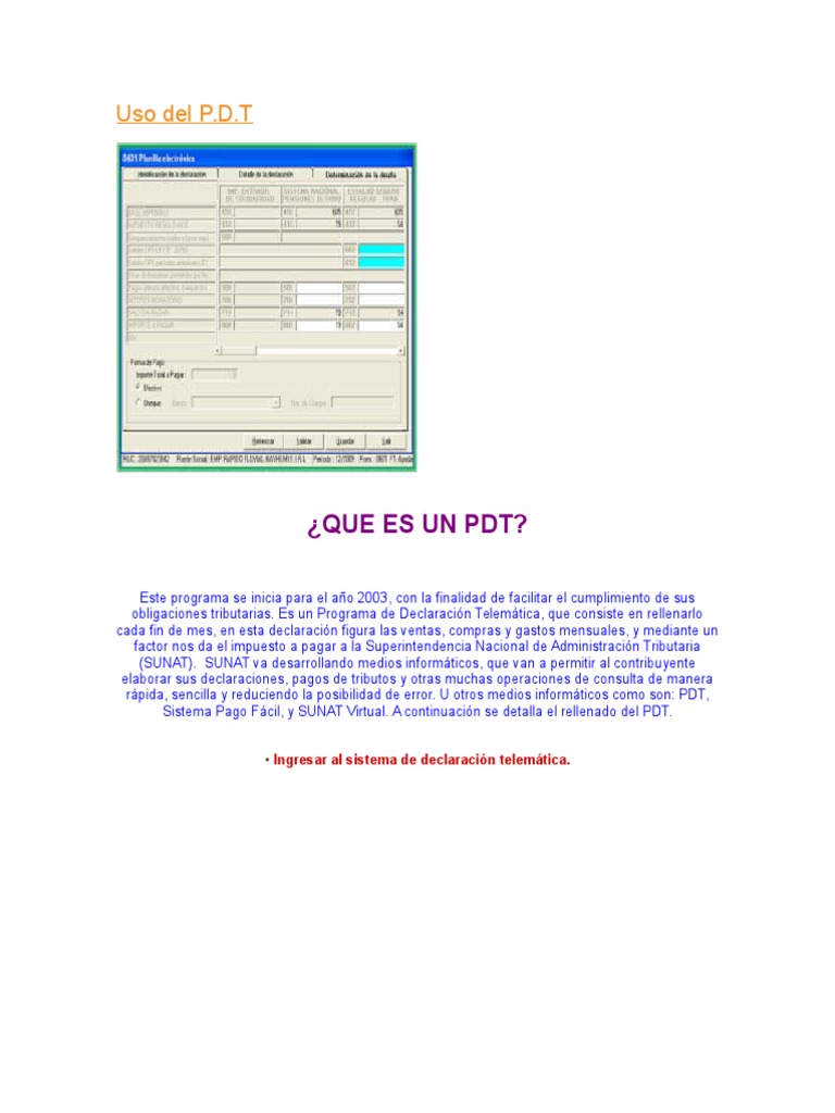 Uso de PDT | PDF | Hoja de balance | Impuestos
