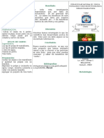 El Cashu contribucion Tamani-Roldan.doc