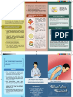 Leaflet Muntah Dan Mual