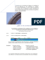 apuntes de maquinas de reconstruccion.docx