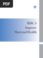 mdg5 partogram in malaysia.pdf