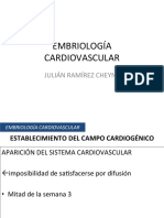 Embriología Cardiovascular PDF
