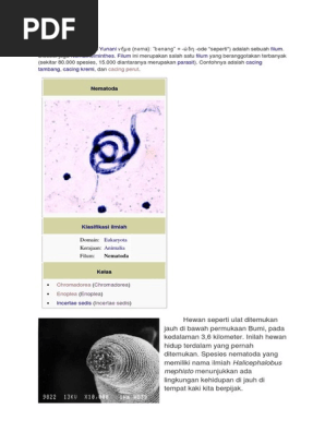 Materi Baca Uas Aver
