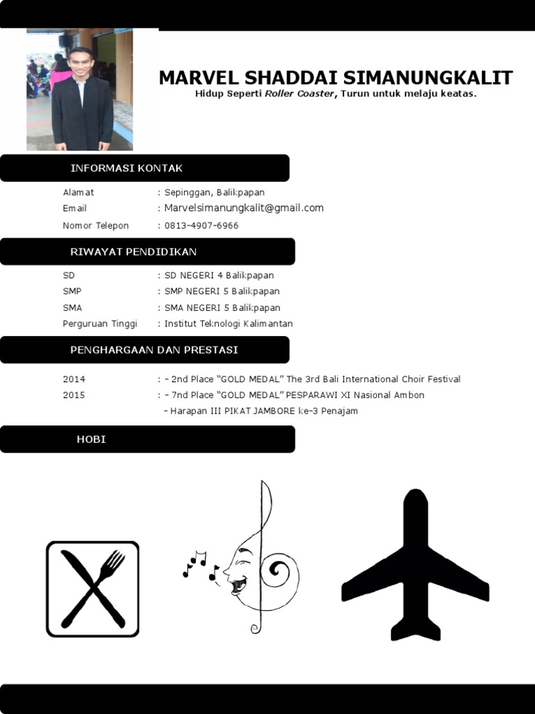 CV Marvel | PDF