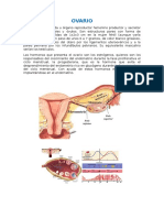 Anatomia y Fifsiologia