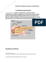 Anatomie Pancreas