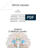 12 NERVUS Cranialis