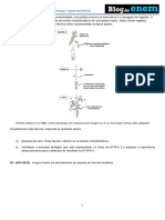 Botãnica Histologia Vegetal Meristemas