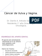 cncerdevulvayvagina-130903224658-