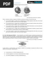 Citologia Organelas Celulares