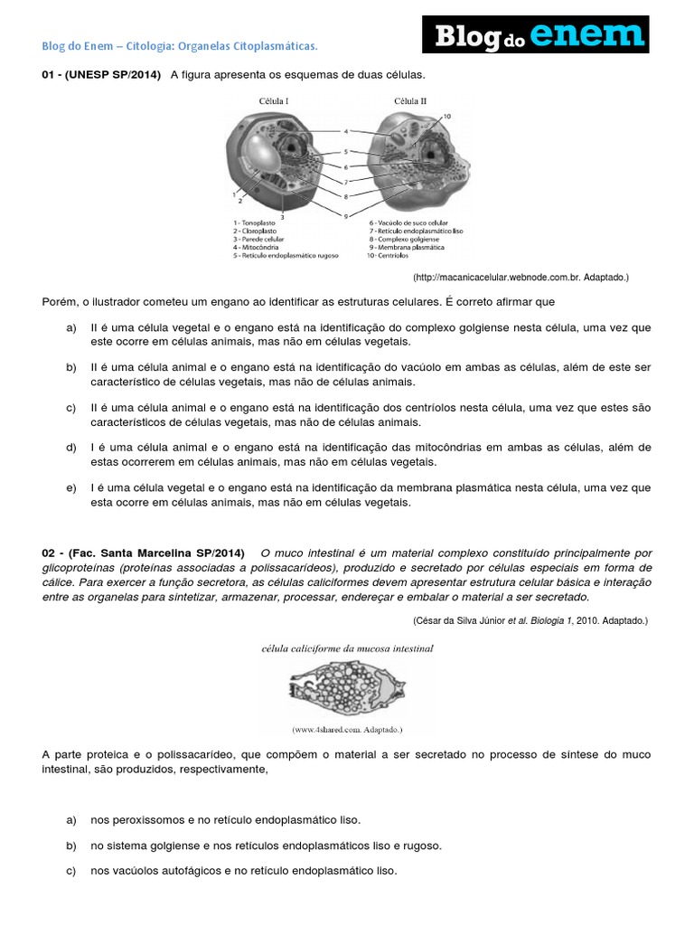 Citologia Organelas Celulares | PDF | Citoplasma | Célula (Biologia), image size:768x1024