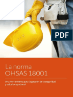 ebook-ohsas-18001-gestion-seguridad-salud-ocupacional  (1).pdf