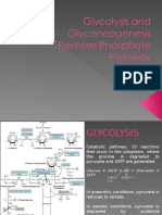 Glycolysis and Glyconeogenesis