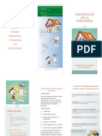 Triptico Influenza Usaer68 PDF